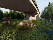 Wildlife Study Shows Underpasses Effective on Delhi-Dehradun Corridor