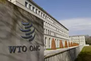 WTO MC14 Conference in Cameroon to Tackle Key Trade Issues Amid Deep Divisions