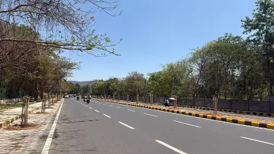 122 Tabebuia Rosea Saplings Planted Along Mysuru's Widened Hyder Ali Road