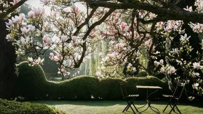 7 Best British Trees for a Front Garden That Look Good All Year