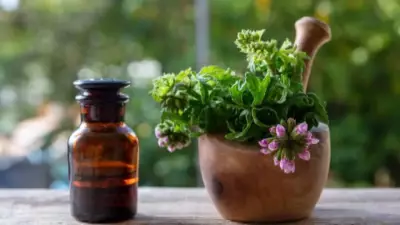 7 Natural Ways to Remove Pests from Home and Garden Effectively