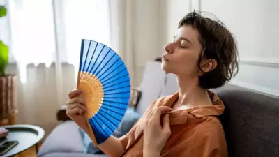 AC vs Fan: Which Is Healthier in Extreme Heat? Expert Advice