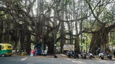 Activists Demand Environmental Review for Mysuru's Kukkarahalli Lake Underpass Project