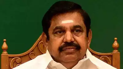 AIADMK's Palaniswami Dismisses Vijay's TVK, Calls Tamil Nadu Polls Bipolar Fight with DMK