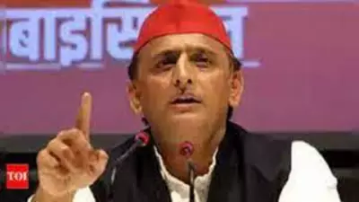Akhilesh Yadav Accuses BJP of Ambedkar Statue Vandalism, Criticizes Noida Handling