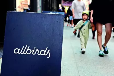 Allbirds Abandons Wool Sneakers for AI Compute, Rebrands as NewBird AI