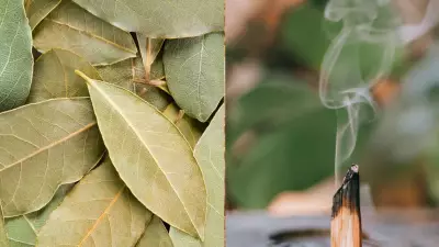 Ancient Bay Leaf Manifestation Ritual: A Kitchen Remedy for Luck & Dreams