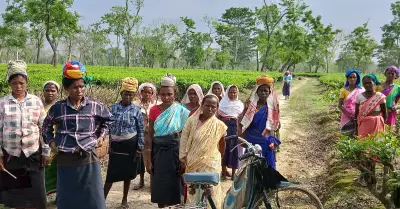 Assam 2026 Polls: Zubeen, Delimitation, Tea Worker Sops to Shape Voter Mood