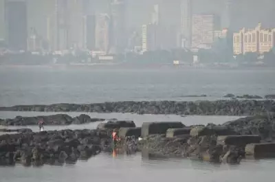 Bandra Residents Oppose MMB's New Ad Policy for Mumbai Coast