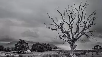 Bangladesh Hindu man's body found hanging from tree; minority group demands action