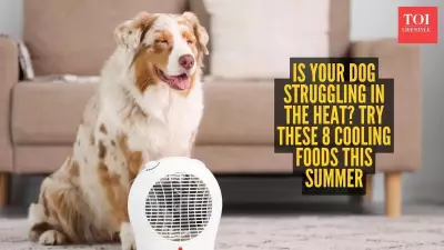 Beat the Summer Heat: 8 Cooling Foods for Your Dog's Diet