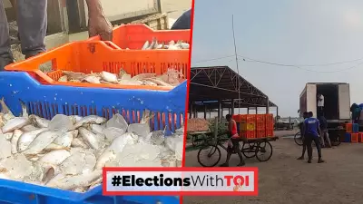 Bengal's Fishing Crisis Deepens: Catches Plummet, Livelihoods at Stake