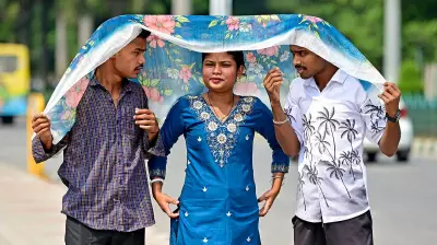 Bengaluru Sizzles as Mercury Soars 3 Degrees Celsius Above Normal
