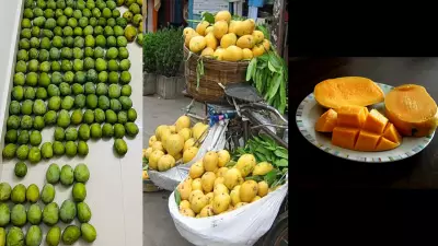 Beyond Alphonso: Exploring Unique Indian Mango Varieties