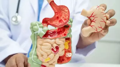 Beyond Everyday Aches: How Your Gut Could Be the Hidden Source of Autoimmune Issues