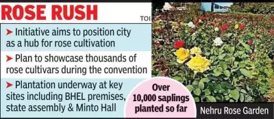 Bhopal's Massive Rose Cultivation Drive Aims to Transform City into 'City of Roses'