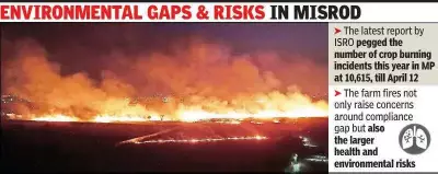 Bhopal's Misrod Area Engulfed by Unchecked Farm Fires, Defying Crop Burning Bans