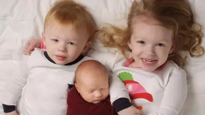 Birth Order and Intelligence: Why Firstborns Often Have Higher IQ