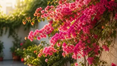 Bougainvillea Care: 4 Essential Tips to Avoid Killing Your Plant with Kindness