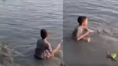 Boy Brushes Crocodile's Teeth in Viral Colombian Video, Sparking Safety Concerns