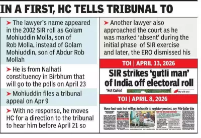 Calcutta HC Quashes ECI's Requisition of College Professors for Poll Duty