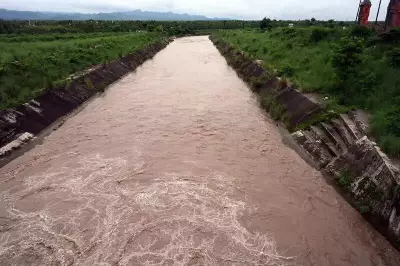 Canal Breach in Sirsa Submerges 80 Acres of Wheat, Farmers Allege Official Negligence