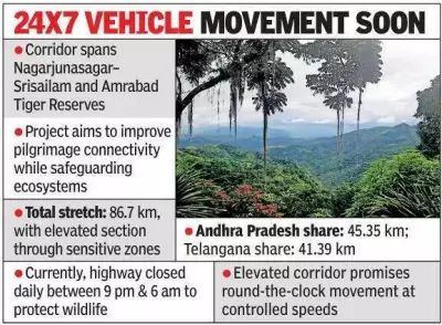 Centre Plans Rs 18,500 Cr Elevated Corridor Through Nallamala Forest for Pilgrim Connectivity