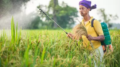 Centre's New Insecticide Rules May Weaken Regulatory Oversight: Experts