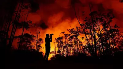 Climate Crisis May Threaten 74% of Animal Habitats by 2050: Report