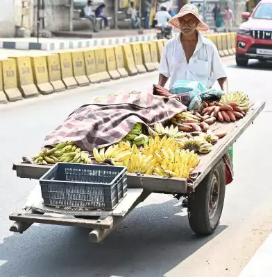 Coimbatore Heatwave: Real Feel Exceeds Recorded Temperatures, Relief Unlikely