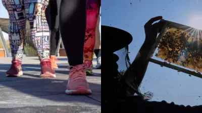 Cornwall Council's Glyphosate Plan Sparks Major Backlash from Residents