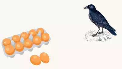 Curious Case of Missing Eggs and Crafty Crow in Bangalore