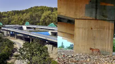 Delhi-Dehradun Expressway to Slash Travel Time to 2.5 Hours, Features Asia's Longest Wildlife Corridor