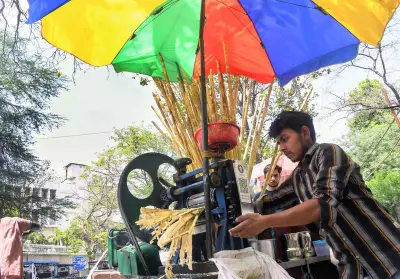Delhi Records Season's Hottest Day at 41.9°C
