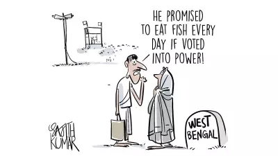 DH Toon: A Promise to Eat Fish - A Satirical Take on Political Promises