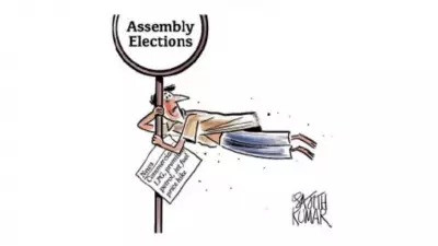 DH Toon: A Satirical Lens on Assembly Elections and Political Drama