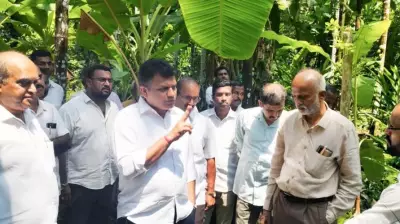 DK MP Announces Consultative Meet for Areca Growers' Issues