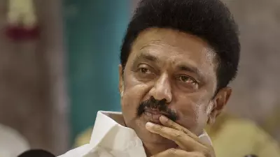 DMK Manifesto is the 'Superstar' of 2026 Tamil Nadu Polls, Says CM Stalin
