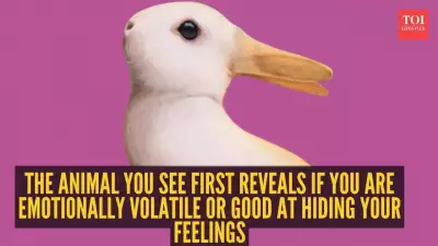 Duck or Rabbit First? Viral TikTok Illusion Reveals Your Hidden Personality Traits