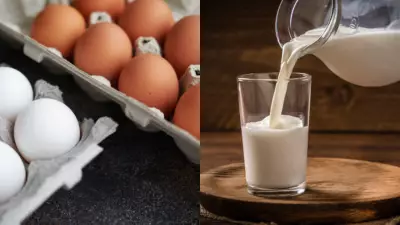Eggs vs Milk: Clinical Nutritionist Explains Which Protein Is Better for You