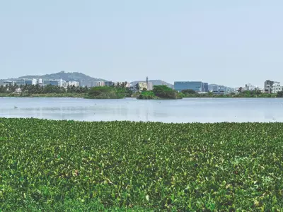 Explore Nanmangalam Forests: Trekking, Birdwatching, Nature Trails in Chennai