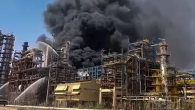 Fire at Rajasthan's Pachpadra Refinery: NIA, ATS, Forensic Teams Probe Blaze