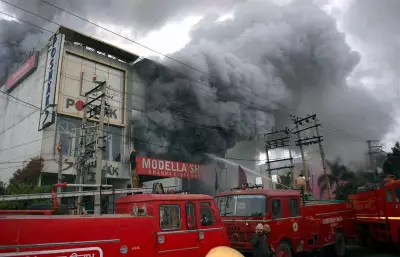 Fire Guts Scrap Shop Near Phillaur, Causes Rs 3 Lakh Loss, Pet Dog Dies