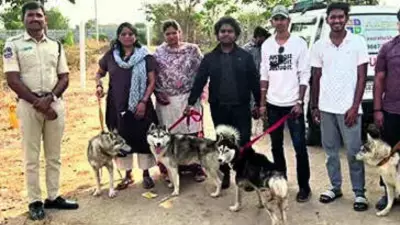 Five Siberian Huskies Found Abandoned Near Hyderabad, One Dead