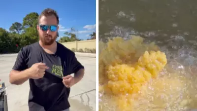 Florida Man's Viral Iguana Waffle Recipe Sparks Invasive Species Debate