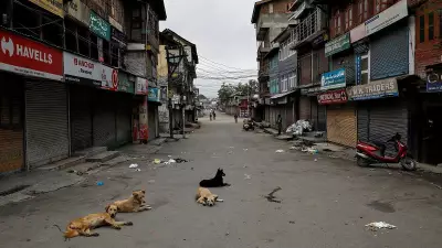 From Conflict to Companionship: Kashmir's Pets Move Indoors as Peace Prevails