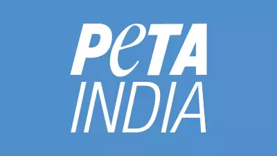 Gauhati High Court Directs Assam to Halt Buffalo Fights After PETA Petition