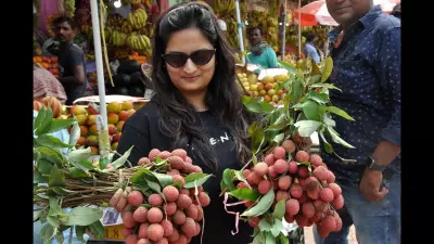 GI Tagging: A Shield for Tradition and Economic Growth in India