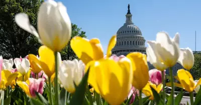 Global Photo Highlights: From Polish Nuns to Lunar Eclipse Views