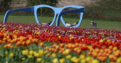 Global Snapshot: From War Zones to Space Exploration in April 2026